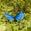 Vivid Arts - Hanging Butterfly Blue - BG-BF22-F