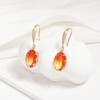 Suyi Dangle Drop Earrings for Women Crystal Teardrop Dangling Earrings