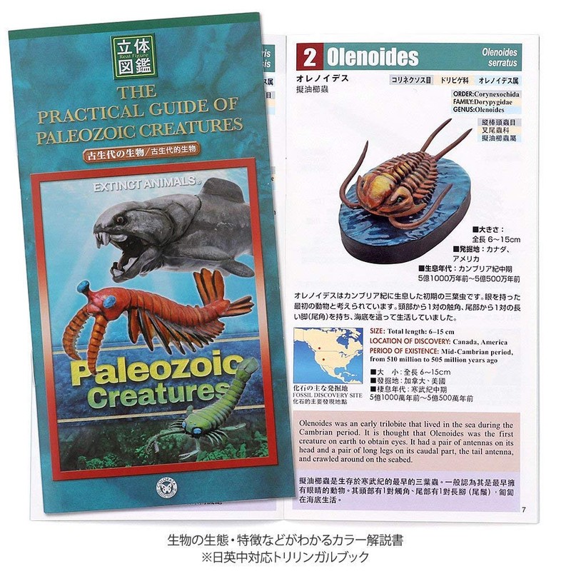 Carolata Paleozoic Biological Figure, 3D Picture Book (Ancient Fish, 6