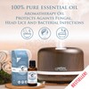 Optima Natura Tea Tree Oil, 100% Natural Pure Essential Tea