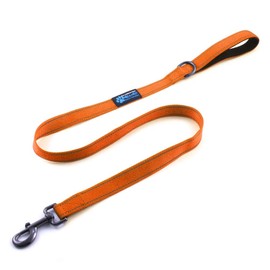 Max and Neo Small Dog Reflective Nylon Dog Leash - We Donate a Leash to a Dog Rescue for Every Leash Sold (Orange, 4x5/8)