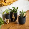 Sass & Belle Golden Rabbit Pedestal Planter