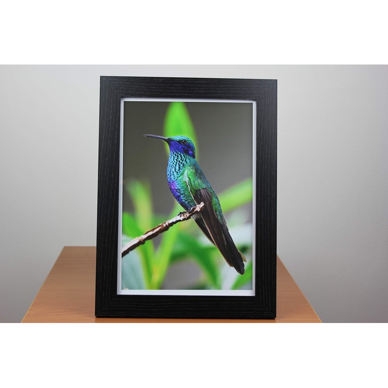 PPD Inkjet 8x10" Gloss Photo Paper Super Premium 280g -