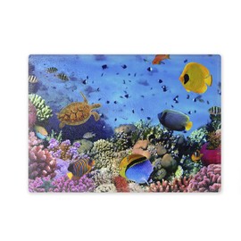 Glass Chopping Board 20 x 28 x 0.4 cm Underwater on Coral Reef Design 04