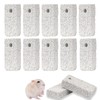 LKCCTK Chinchilla Chewing Stone Rectangular 12pcs Small Pets Guinea Pigs