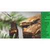 10 Suppositories with Propolis Extract, Oily Extract of Pine Resin