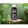 Shampoos Extracto Cola Caballo Aceites Bergamota