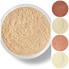 STARTER SET (WARM Neutral Shade-Most Popular) Mineral Makeup Kit Bare