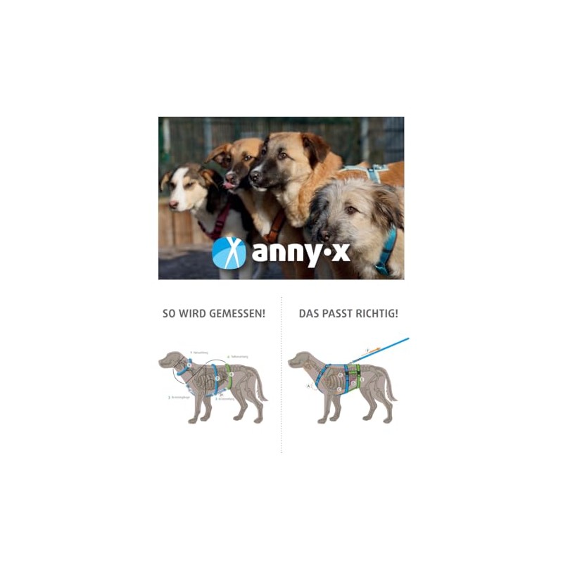 Anny·x Fun Adjustable Dog Harness, Lavender, Sizes XXS to XL