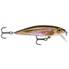 Rapala X-Rap CountDown Lure with Two No. 6 Hooks, 0.9-1.5
