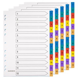 DUDSOEHO A4 Dividers 12 Pieces - 5 Pack Folder Dividers Colored Mylar for File Folders Porous Multipurpose Index Dividers