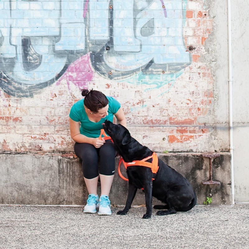EzyDog Quick Fit Dog Harness – No Pull Harness For