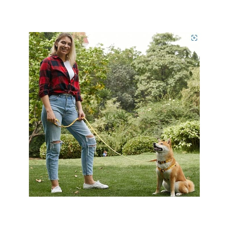 Cosyhome London Dog Harness Leash Set, Breathable,Adjustable,Dog Lead and Harness