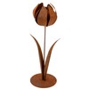 Rusty Metal Decorative Tulip Flower Decorative Patina, 1