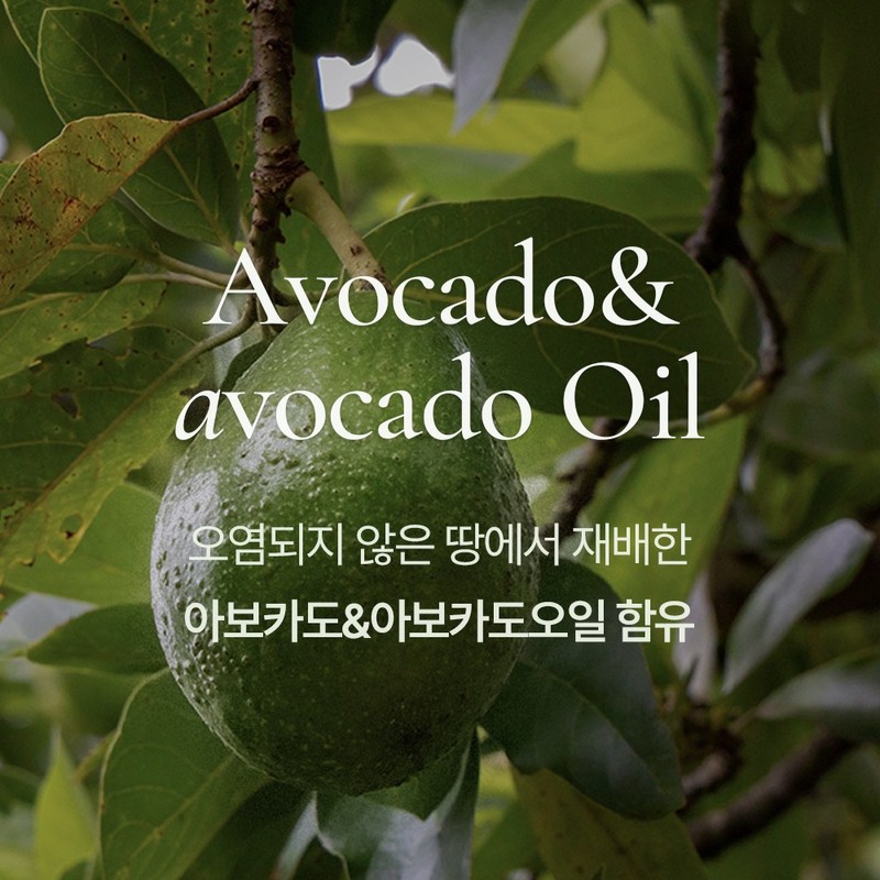 아보카모 극손상모 헤어팩 헤어에센스 세트 Avocado Extreme Damage Hair Pack