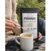 Pranature Melena De León Polvo Puro 100g