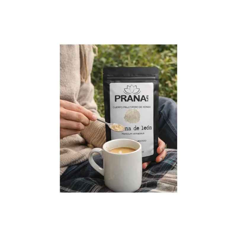 Pranature Melena De León Polvo Puro 100g