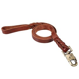 Fdit Collar para, Apto para s de hasta 110 LB (50 Kg) | construcción de cuero suave, ancho de 2.5 cm con largo de 120 cm, diseño trenzado, clip metáli