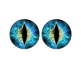 2PCS Beast Eyes Headlight Decals, 3D Stereo Eyes Headlight Decal Stickers, Round Headlight Decal, Universal Car Body Window Bumper Decoration Stickers for Jeep Wrangler (Rose red)