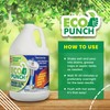 Eco Punch - Professional Strength Drain Clog Dissolver | Heavyweight