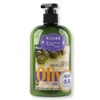 Erina Body Care Olive Face and Body Lotion 380ml / 에리나 바디케어 올리브 페이스 앤 바디로션 380ml