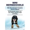 Mini Bernedoodle. Mini Bernedoodle Complete Owners Manual. Mini Bernedoodle book