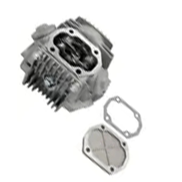 Unbranded Head Kit for 100cc, 110cc 1P52FMI for Coolster 213A,3050A,