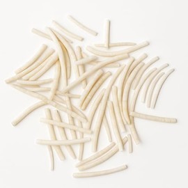 Heyiwell 20PCS White Dentalium Tusk Shells (1.5"–2") – Natural Shells for Jewelry Making, Crafts, and Boho Coastal Decor