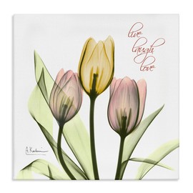 Stupell Industries Live Laugh Love Phrase Yellow Pink Tulip Florals, Design by Albert Koetsier Canvas Wall Art, 30x30, White