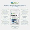 Wellthy Probioticos 60 Billones 11 Cepas. 45 Cápsulas Mes y