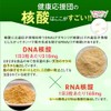 Health Support Team DNA & RNA Supplement, Glucose Plus, Salmon,