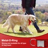 Asvin Velvet Dog Collar - Adjustable Dog Bow Tie Metal