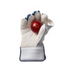 Gunn & Moore GM Cricket Wicket Keeping Keeper Gloves |