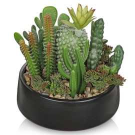 DILATATA Artificial Cactus Plants in Pot 5.5 Inch Fake Succulents Arrangement Potted Plant in Black Ceramic Planter Bowl for Home Office Desk Shelf Living Room Bedroom Bathroom Decor