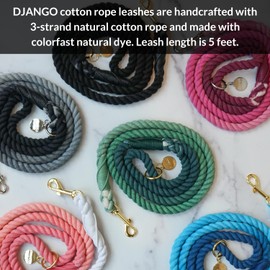 DJANGO Cotton Rope Dog Leash | 5 FT Ombre Rope Leash for Small Medium and Large Dogs with Custom Colors, Whipped Ends, and Beautiful Gold and Silver Hardware (Pacific Blue Ombre)