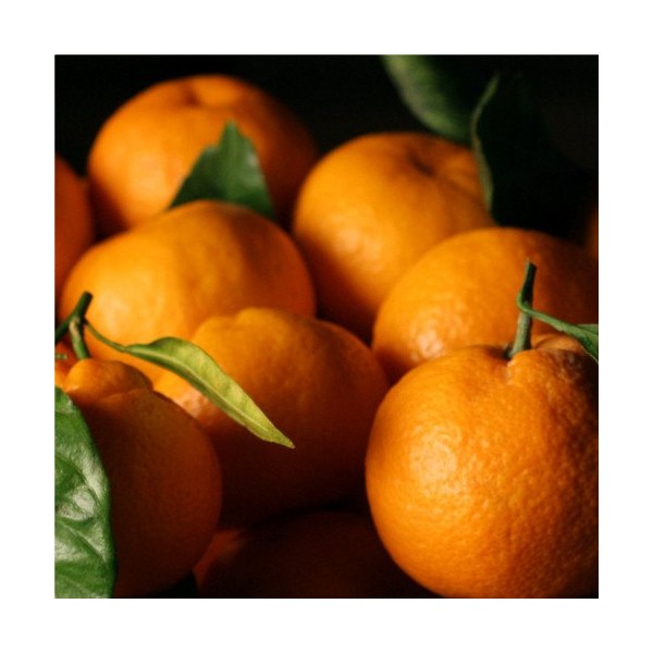 Satsuma Mandarins - 4 lb