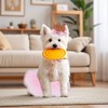 Dog Ballet Tutu for Dogs Small Dogs Ballet Tutu for