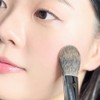 Piccasso 108 Blusher Brush - Piccasso 108 Blusher Brush