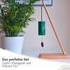 Zaphir Sunray Summer Wind Chime with Stand - Pisa Chime