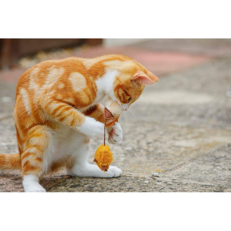 Petface Feather Tail Mice Cat Toy, Pack of 2