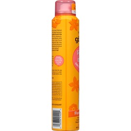 Got2b Fresh It Up Dry Shampoo Floral Touch, 4.3 Ounce