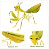 Gatuida 3 Pcs Mantis Shape Iron Garden Ornament Vivid Hanging