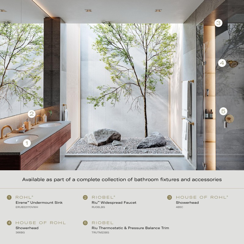 6" 2-Function Showerhead With ArmBLACK