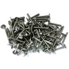 1/4-20 x 1-1/2" Sidewalk Hurricane Stainless Steel Bolts 100 pcs.
