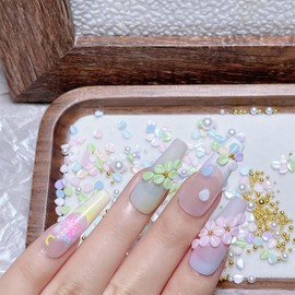 1 Pack Flower Nail Charms Colored Pearl Leaf Designs Nail Gems Mixed 3D Fresh &Cute Steel Ball Nail Art Charms Resin Flower Nail Accessories for Wearing Decor