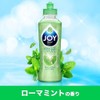 ジョイコンパクト 食器用洗剤 ローマミントの香り 詰め替え 特大 770mL パワーミント
