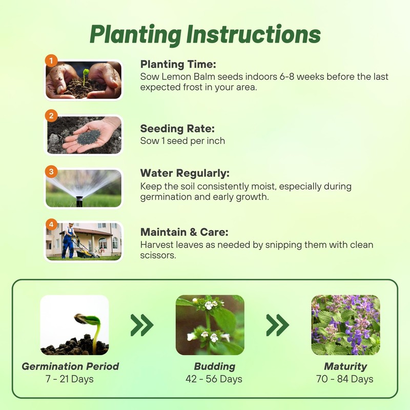 Outsidepride Lemon Bee Balm Seeds - 5,000 Perennial, Easy to