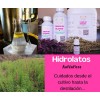 Hidrolato De Menta