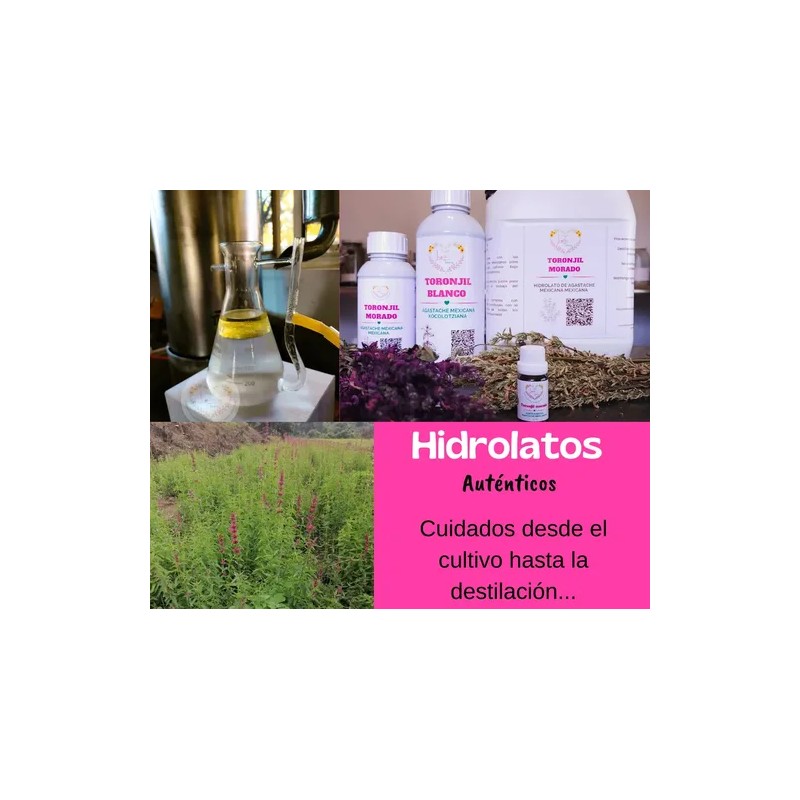 Hidrolato De Menta