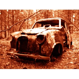 Abandoned Junk Cars Poster #8 - Canvas Art Poster 18" x 24" (Canvas, 18" x 24")